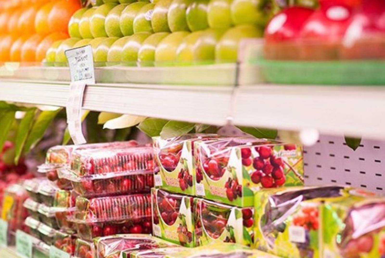 Australian plums to be available in Vietnam